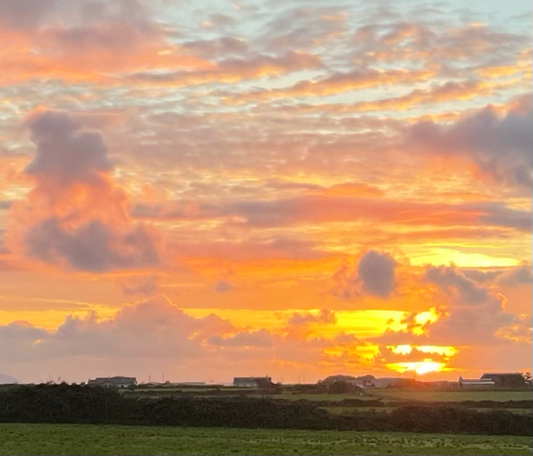 Shades of Irish Winds