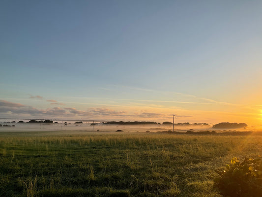 St. Brigid’s Day: Celebrating Irish Heritage this February