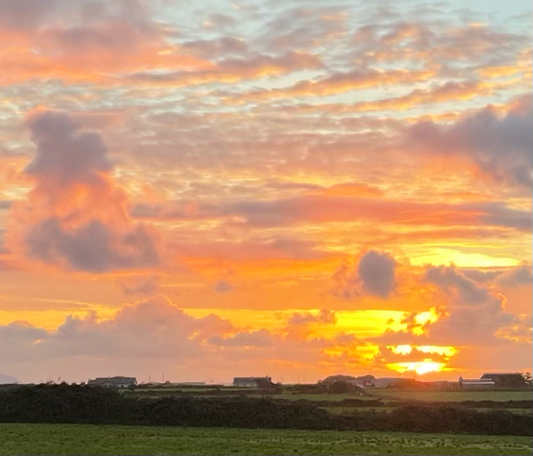 Colours of Irish Winds